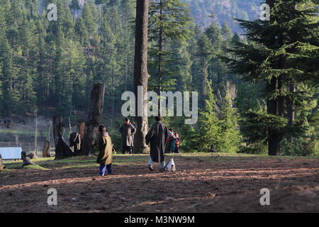 I ragazzi del kashmir giocando, kupwara, Kashmir India, Asia Foto Stock