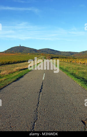 Il vecchio modo passa attraverso i vigneti paesaggio di campagna Foto Stock