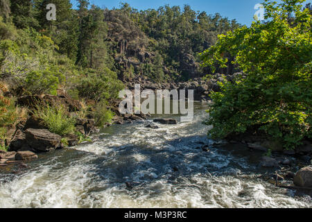 Cataract Gorge, Launceston, Tasmania, Australia Foto Stock