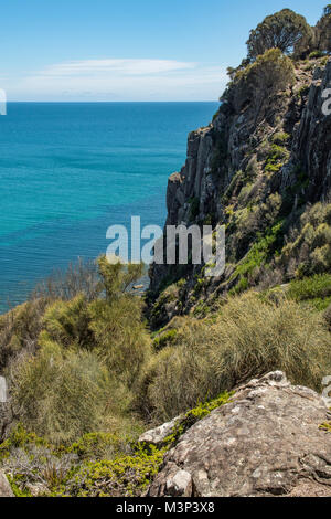 A ovest di testa, Narawntapu National Park, la Tasmania, Australia Foto Stock