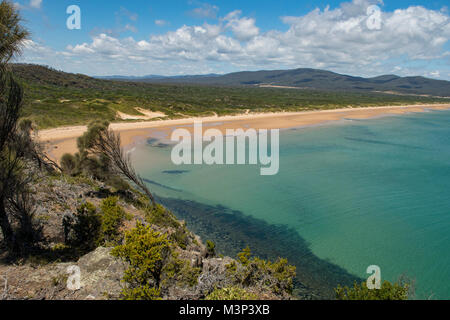 Badger Spiaggia dalla testa Ovest, Narawntapu NP, Tasmania, Australia Foto Stock