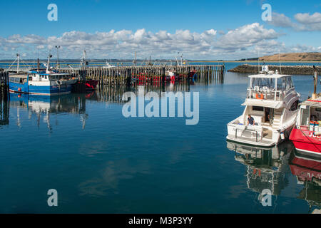 Porto di Stanley, Tasmania, Australia Foto Stock