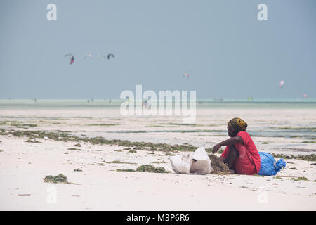 PAJE, Zanzibar - Dic 23, 2017: donna locale di smistamento alghe coltivate sulla spiaggia di sabbia di isola di Zanzibar, vicino a Paje village Foto Stock