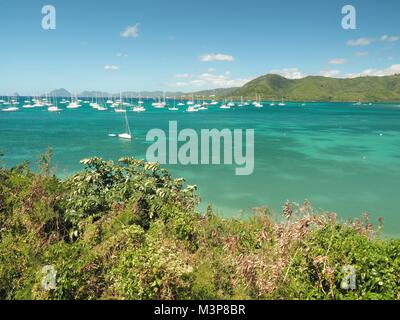 Baia di Sainte-Anne in Martinica.Ogni anno da dicembre a maggio molti diportisti venite a trascorrere l'inverno in questa bella baia, linea di alberi di noci di cocco. Foto Stock