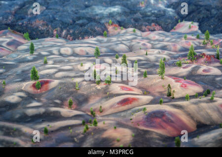 Dipinto di dune di sabbia del vulcano Lassen adottate nel 2015 Foto Stock