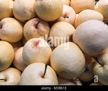 Giallo pyrus sfondo, gruppo di pyrus. Foto Stock