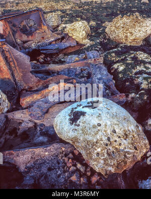 Grandi rocce abstract a bassa marea, Birling Gap, England, Regno Unito, Europa Foto Stock