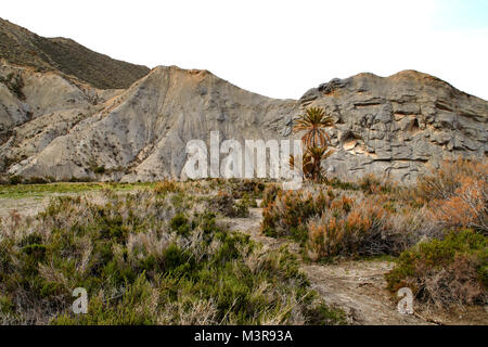 Desierto de Tabernas paesaggio Foto Stock