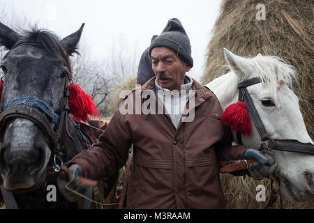 Una contadina che trasportano due cavalli,in frosty Magura,contea di Brasov, Romania. Foto Stock
