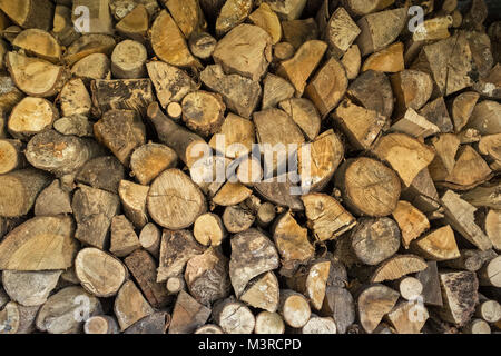 Legna da ardere logs essiccazione in un negozio di log. Foto Stock