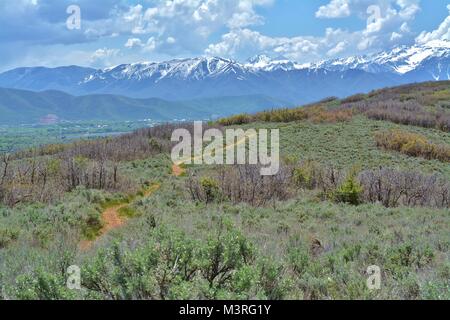 Sentiero escursionistico in Midway, UT Foto Stock