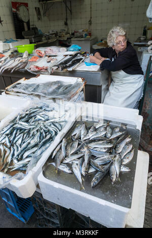 Pesce fresco e frutti di mare in vendita in il Mercado do Bolhao, Porto, Portogallo Foto Stock