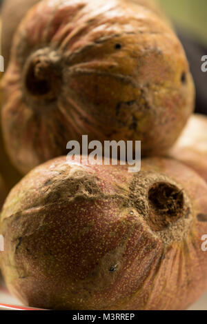 Mammy frutta, Ocho Rios, Giamaica, West Indies, dei Caraibi Foto Stock