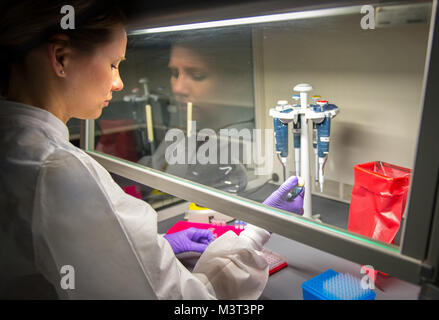 Marie Powell, supervisore generale, Diagnostica Molecolare, preleva i campioni durante la prova di campioni umani per il virus di Zika presso il Laboratorio di Epidemiologia a Wright-Patterson Air Force Base, Ohio, 20 aprile. Aedes si possono diffondere malattie gravi come la febbre dengue, febbre gialla, il Zika virus chikungunya e. Aedes zanzare sono visivamente particolari a causa della loro notevole nero e bianco marcature sul loro corpo e gambe. (U.S. Air Force foto/Tech. Sgt. Brandon Shapiro) 20160420-F-JP000-261 da AirmanMagazine Foto Stock