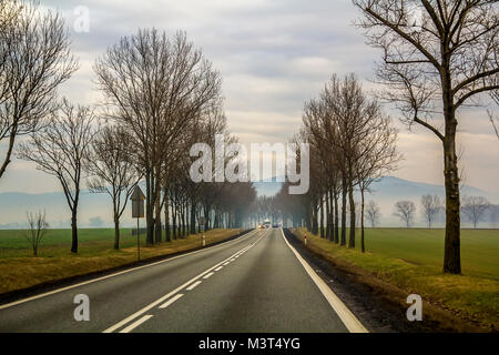 Due curve Lane Country Road avvolgimento attraverso gli alberi Foto Stock