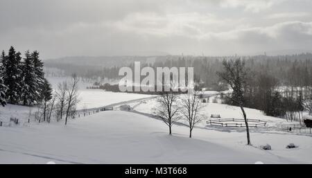 Un po' di apertura per il sole dopo una tempesta di neve. Prese in febbraio 08, 2018 a 12:24 PM. Foto Stock