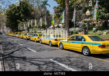 Giallo taxi schierate in Campidoglio città di Funchal Madeira l'Europa. Foto Stock