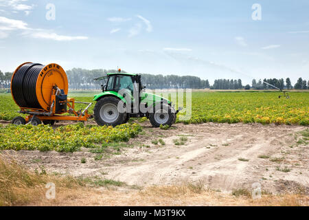 Irrigazione agricoltura macchina su una fattoria campo durante un lungo periodo senza pioggia Foto Stock