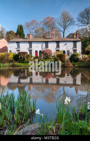 Cottage bianco alla Dell, Lymm, Cheshire, Inghilterra, Regno Unito Foto Stock