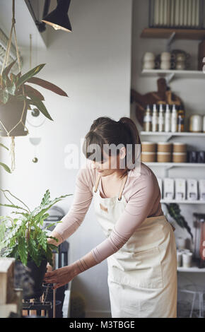 Giovani femmine fioraio occupato disponendo invasati sugli scaffali per la finestra display del suo negozio di fiori Foto Stock