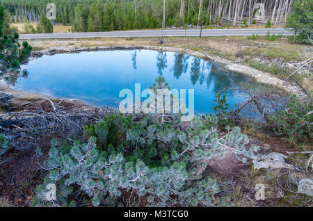 Pool di pelle nella fontana vaso di vernice area mostra un brillante colore blu. Parco Nazionale di Yellowstone, Wyoming USA Foto Stock