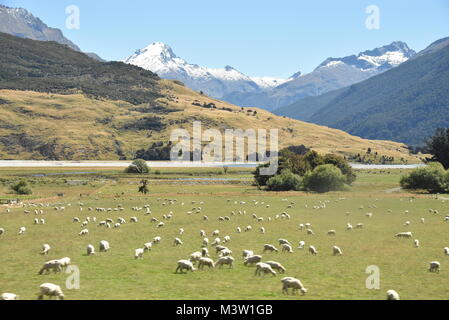 Un tipico paesaggio in Nuova Zelanda Foto Stock