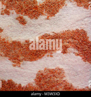 Immagine della rugosità colorati testura sabbiosa Foto Stock