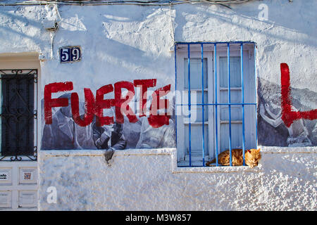 Reddish tabby cat dietro le barre blu su un imbiancato davanzale godendo il sole Foto Stock