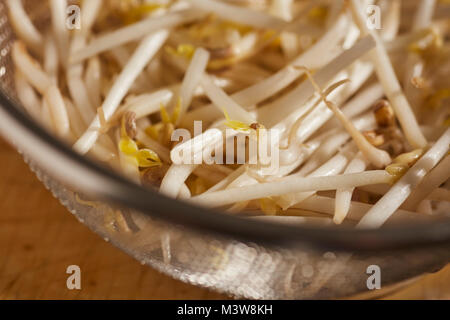 Alcuni freschi, materie Mung bean i germogli, pronti per la cottura Foto Stock