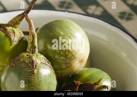 Tutto fresche, materie verde tailandese Melanzane, talvolta chiamato 'Thai Melanzane' Foto Stock