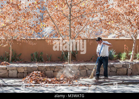 Un uomo spazzando su foglie in una pila sul marciapiede in Valle de Elqui, Cile Foto Stock