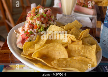 Gamberi freschi ceviche in una conchiglia ciotola accoccolato in un letto di mais tortilla chips. Foto Stock