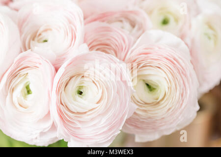 Ranuncolo persiano. Mazzetto rosa pallido ranunculus fiori sfondo luminoso. Vaso di vetro in rosa vintage tavolo in legno. Wallpaper Foto Stock