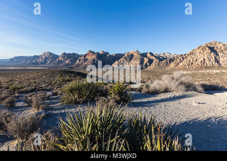 Vista la mattina presso Scenic loop si affacciano nella Red Rock Canyon National Conservation area vicino a Las Vegas in Nevada. Foto Stock