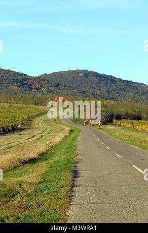 Il vecchio modo passa attraverso i vigneti e colline paesaggio di campagna Foto Stock