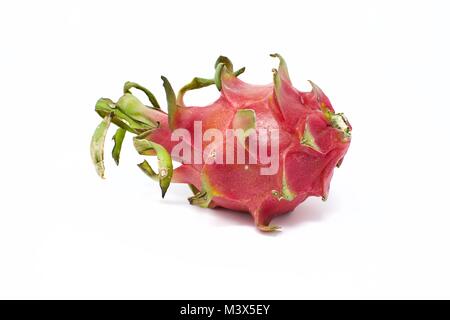 Dragon frutta (Hylocereus undatus) su uno sfondo bianco Foto Stock