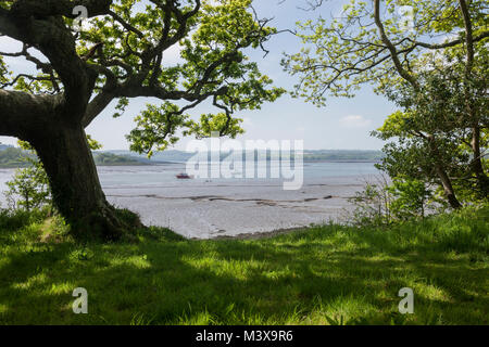 Punto di Picton fiume Cleddau Ddu Nr Evesham Pembrokeshire Wales Foto Stock