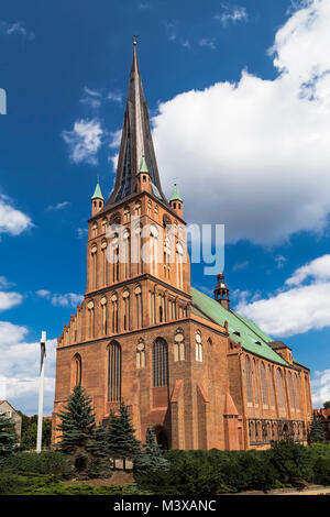 La Basilica Cattedrale di San Giacomo Apostolo, Szczecin Foto Stock