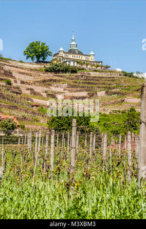 Spitzhaus un punto di riferimento costruito nel 1622 presso i vigneti di Radebeul, Sassonia, Germania Foto Stock