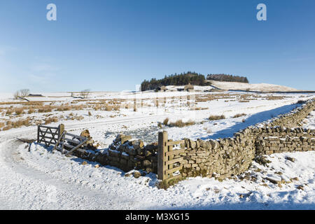 Il Vallo di Adriano: la vista a est dalla mungitura di Gap, vicino falesia Lough, guardando verso Hotbank balze e Hotbank Farm Foto Stock