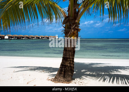 Palm e bungalow di lusso ville in Residence Hotel e Resort, Gaafu Alifu Atoll. Isole delle Maldive. Foto Stock