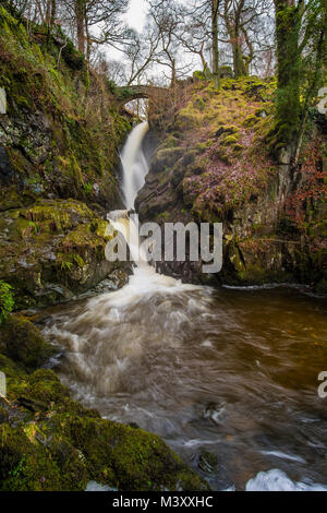 Aira Force cascata, Lake District inglese Foto Stock