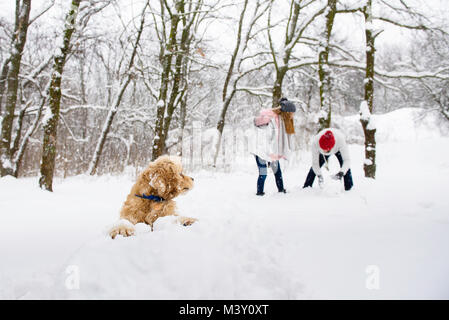 Cani e persone avendo divertimento in inverno foresta con la neve Foto Stock