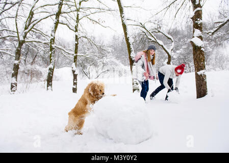 Cani e persone avendo divertimento in inverno foresta con la neve Foto Stock