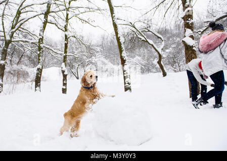 Cani e persone avendo divertimento in inverno foresta con la neve Foto Stock