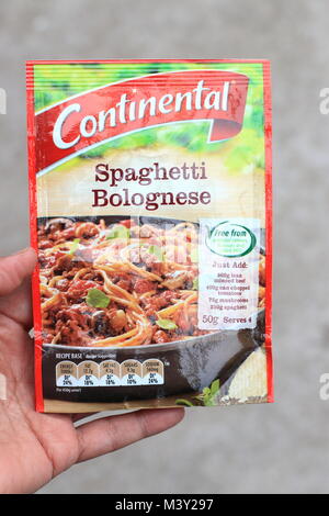 Spaghetti alla Bolognese continentale Base ricetta Foto Stock