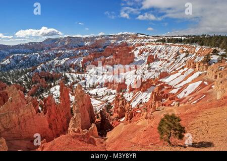 Stati Uniti, Utah e Colorado Plateau, Parco Nazionale di Bryce Canyon, Bryce Canyon anfiteatro in inverno Foto Stock