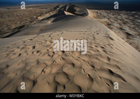 Kelso dune, California, USA. 10 Febbraio, 2018. Le tracce degli animali che attraversano le dune di sabbia nelle prime ore del mattino. Il Kelso dune di sabbia coprono 45 miglia quadrate e aumento di 650 piedi sopra il pavimento del deserto. Mojave National Preserve presenta un maggiore campo di dune a valle della morte e ha più alberi di Joshua a Joshua Tree National Park. Kelso dune, noto anche come il Kelso campo di dune, è il campo più vasto delle Eolie depositi di sabbia nel deserto di Mojave. La regione è protetto mediante il Mojave National Preserve e si trova a San Bernardino County. Il campo di dune include la migrazione di dune, vegetazione-stabilizzata Foto Stock