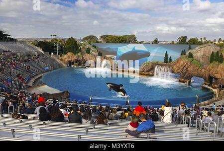 Visitatori che guardano lo spettacolo Orca Killer Whale Encounter, le attrazioni turistiche del Parco a tema di San Diego California SeaWorld Foto Stock