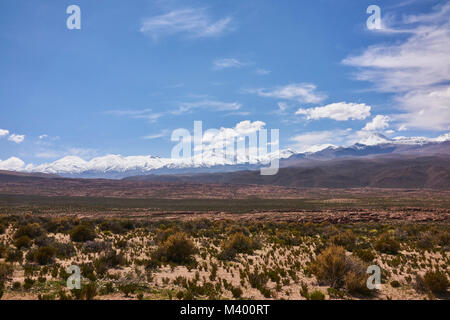 Arido paesaggio del deserto di Atacama con la Cordigliera delle Ande in background. Foto Stock